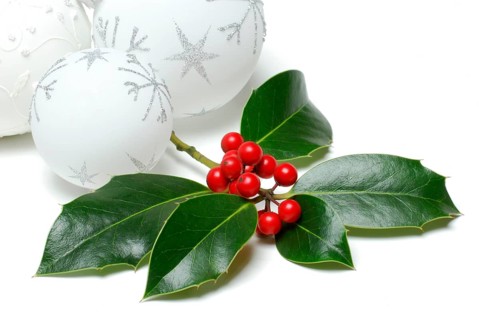 Holly branch and Christmas baubles