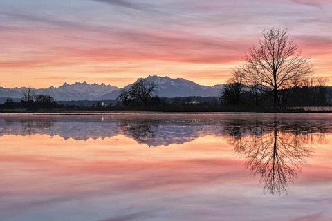 Pilatus reflected in the flooded nature reserve in the evening light, Reussspitz, Hünenberg, Canton
