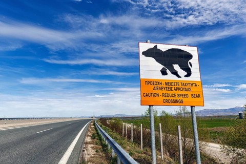 Bilingual warning sign on motorway, caution, drive slowly, bears crossing the road, Western
