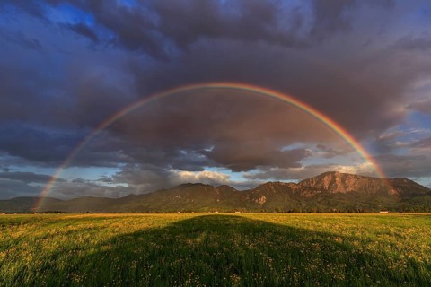 Rainbow, flower meadow, mountains, cloudy mood, evening light, Loisach-Lake Kochel moor, view of