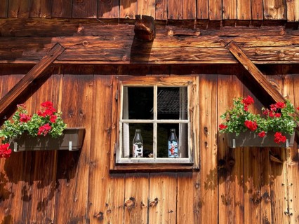 Window in the wooden wall of a rustic old alpine hut with geraniums, East Tyrol, Austria, Europe