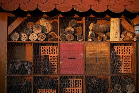 Insect hotel, bee hotel, Waiblingen, evening light, Baden-Württemberg, Germany, Europe