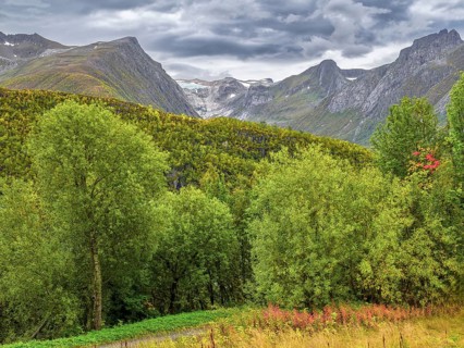 View of the Svartisen glacier and the surrounding mountains, clouds, Saltfjellet Svartisen National