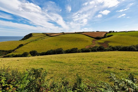 Hilly landscape with fields, meadows, hedges by the sea, spring clouds in summer, Cirrus, Cornwall,
