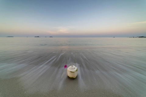 Coconut at sunrise on the beach, Koh Changi Island, Andaman Sea, Southern Thailand, Thailand, Asia