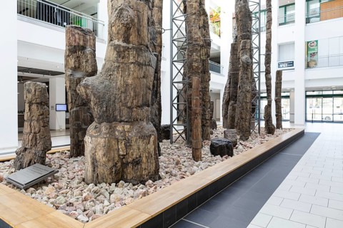 Exhibition Steinerer Wald in the foyer of the cultural department stores' DAStietz, Chemnitz,