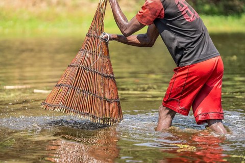 Fisherman lifting the basket out of the water. Water trips down the basket. He uses the basket for