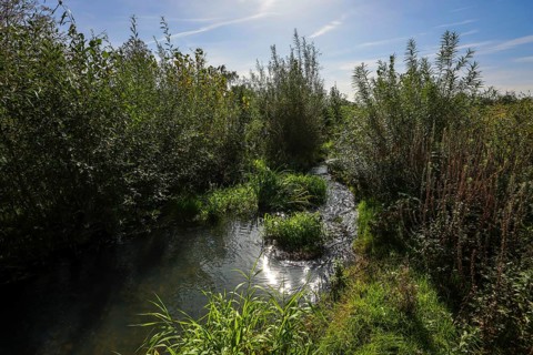 Recklinghausen, North Rhine-Westphalia, Germany, Renaturalised Hellbach, renaturalised watercourse,
