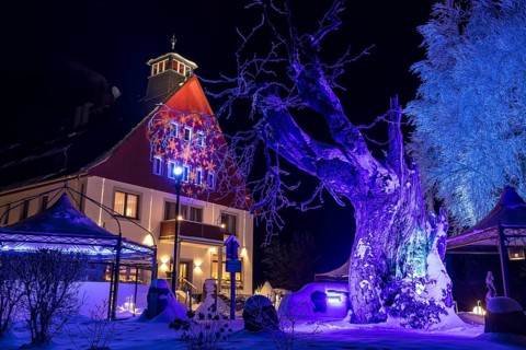 Illuminated Bühlhaus at night, in front of it the old Bühl beech (Fagus), Eibenstock in winter,