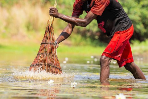 Fisherman catching fish with a basket in the river with pushing down the wide basket into the water