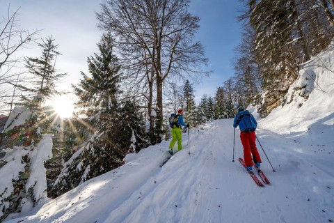 Two ski tourers in a snowy forest, Sonnenstern, ascent to Simetsberg, Estergebirge, Bavarian