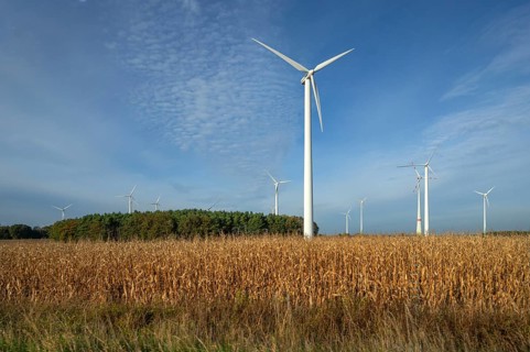 Wind turbines on the A9 motorway, cornfield in front, Thuringia, Germany, Europe