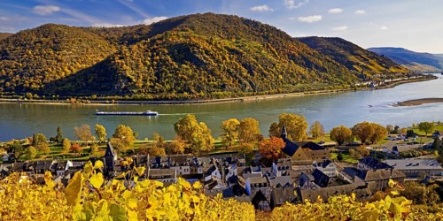 View of Bacharach on the Rhine in autumn, UNESCO World Heritage Upper Middle Rhine Valley,