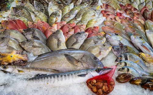 Red Sea Fish, Fish Market in Hurghada, Egypt, Africa