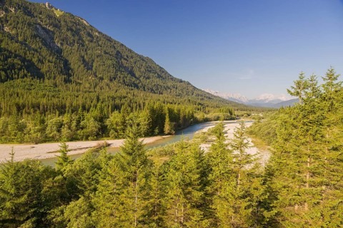 Isar valley nature conservancy area. The wild Isar river flows through its gravel bed past