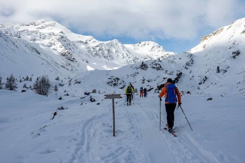 Ski tourers, behind the summit of Monte Cevedale, snow-covered mountain landscape, Ortler Alps,