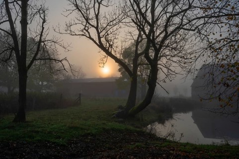 Morning sun on a foggy morning at Gut Othenstorf, Othenstorf near Rehna, Mecklenburg-Vorpommern,