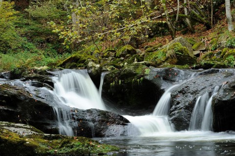 Gentle waterfall in a green, wooded valley with rocks and foliage, Buchberger Leite, Bavarian
