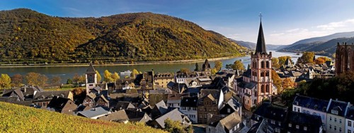 Autumn view of Bacharach on the Rhine with St. Peter's Church, UNESCO World Heritage Upper Middle