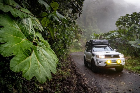 Off-road vehicle in the fog during rain, with fog lights on a narrow road, dense vegetation with
