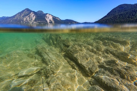Underwater shot, rocks, lake, clear, mountains, sunny, Walchensee, Bavaria, Germany, Europe
