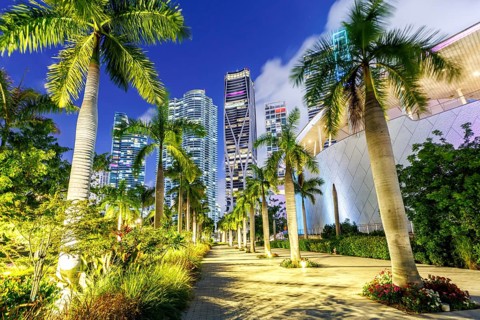 Miami skyline with skyscrapers at Maurice A. Ferré Park at night in Miami, USA, North America