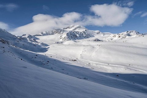 Snow-covered mountain landscape, mountain peak Monte Cevedale and glacier Zufallferner, Ortler