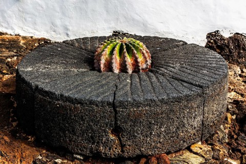 2016, Guatiza, Lanzarote, Jardin de Cactus by Cesar Manrique, ESP, Spain, Canary Islands, Canary