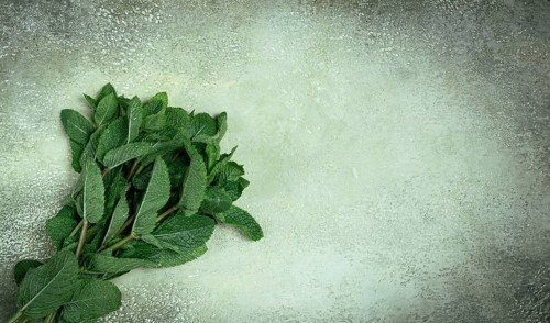 A bunch of vibrant green mint leaves lies on a textured gray surface, ready for use in cooking or
