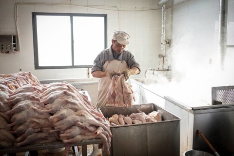 Production of salted ducks factory Nan Jing Ying Tao Yo Co. Ltd., for consumption in restaurants