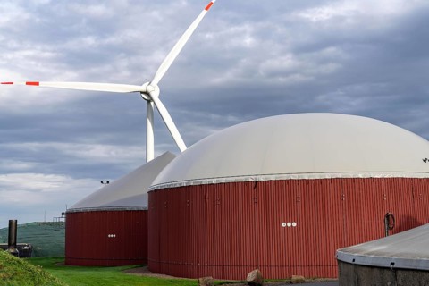 Biogas plant produces gas from various biomass, electricity is generated in combined heat and power