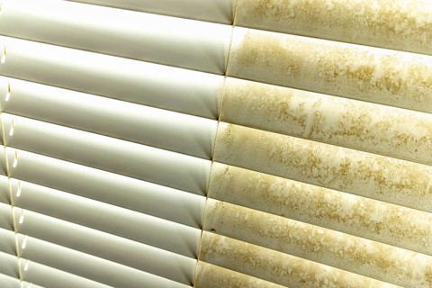Residential window shades showing the before and after of a good cleaning, one side clean and one