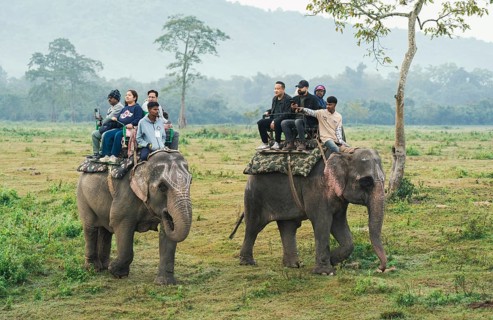 Tourists ride elephants during a safari at Kaziranga National Park on December 5, 2024 in