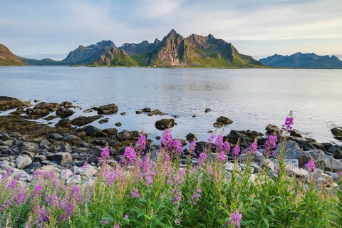 View of mountains and coast near Vareid, Lofoten, Norway, Europe