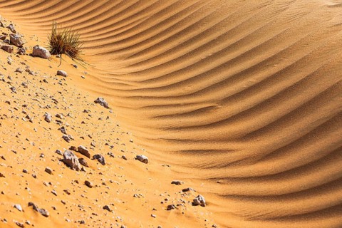 Wind-sculpted sand structure in the Rub al Khali desert, Dhofar province, Arabian Peninsula,