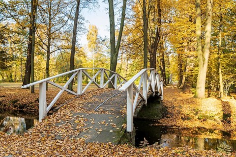 Bridge over the castle moat in autumn, park of Hermsdorf Castle, Ottendorf-Ockrilla, Saxony,