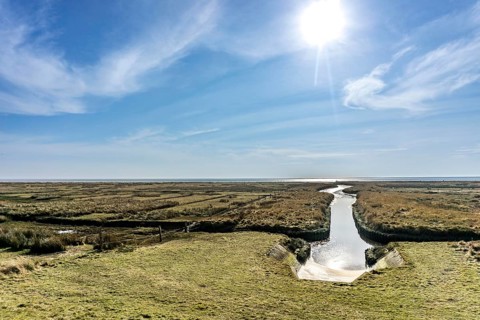 The East Frisian North Sea island of Juist in winter, marsh meadows in the west of the island,
