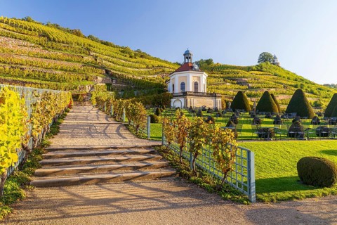 Belvedere in the vineyard with Jacobstein vineyard pavilion, Wackerbarth Castle Park, Radebeul,