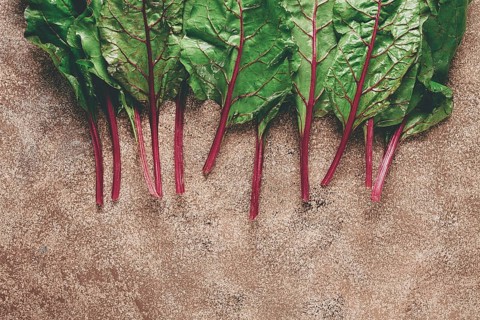 Fresh, green leaves, stem with beet leaves, on the table, top view, rustic, no people