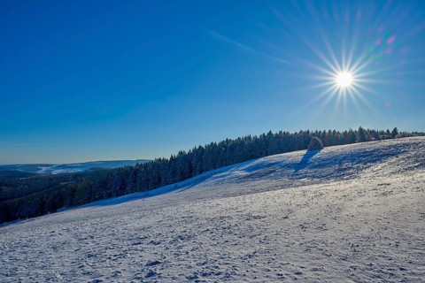 Gently rolling snow-covered hills lined by a winter forest under a radiant sun, Winter,