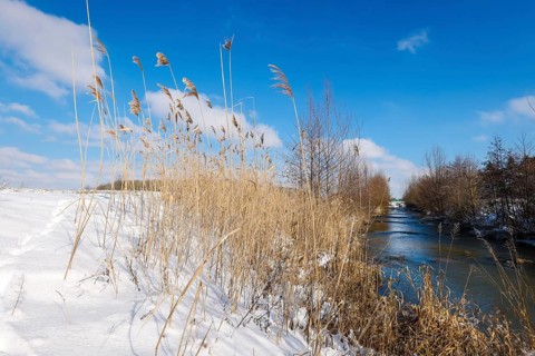 Hamm, North Rhine-Westphalia, Germany - Sunny winter landscape in the Ruhr area, ice and snow on