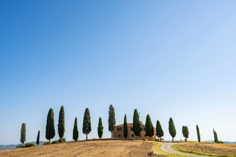 Tuscany landscape with cypresses and farmstead at sunrise, dawn, 'Podere Cipressini', San Quirico
