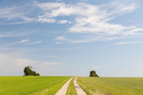 Field path and wide sky, district of Central Saxony, Saxony, Germany, Europe