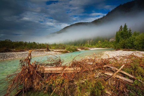 Isar valley nature conservancy area. The wild Isar river flows through its gravel bed past