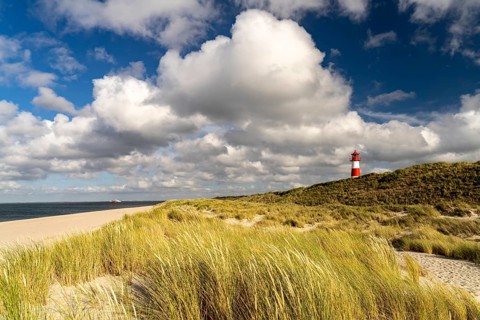 Dunes at the coast of Ellenbogen and the lighthouse List-Ost, List, island Sylt, district