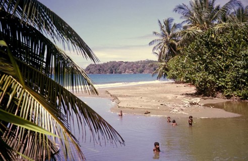 Local children swimming by beach in tidal river at the coast, island of Tobago, 1963