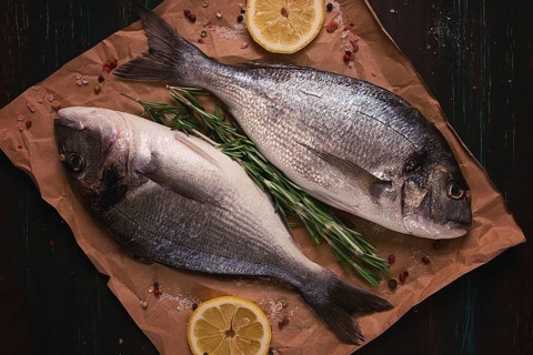Fresh, Raw Dorado fish, Top view, Horizontal, no people