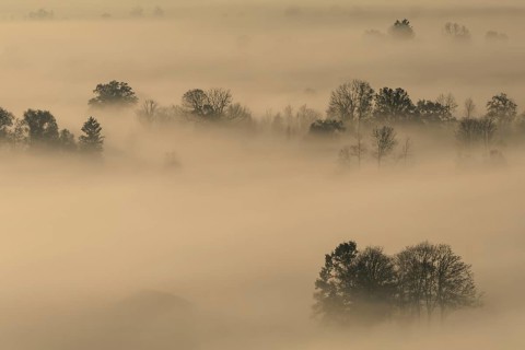 Foggy mood, fog, morning light, backlight, autumn, Loisach-Lake Kochel-Moor, foothills of the Alps,