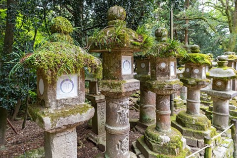 Stone lanterns, Kasuga-taisha shrine, Nara, Japan, Asia