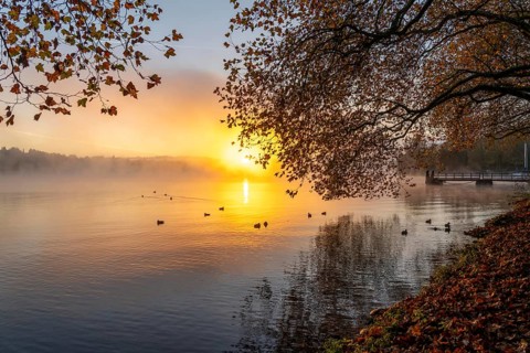 Sunrise, autumnal atmosphere at Lake Baldeney, near Haus Scheppen, in Essen, North